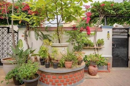 Eden Garden Villa By Jadecaps Nr Mg Road Garden Бангалор Экстерьер фото